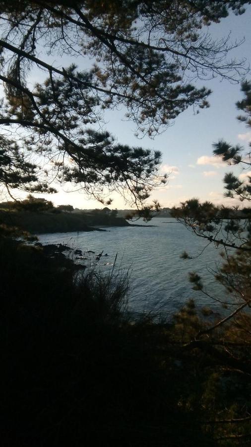 Tente 3 Chambres, Petit Camping Familial Vue Mer Plestin-les-Grèves Dış mekan fotoğraf